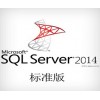 SQL中文標準版