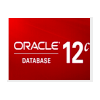 Oracle數據庫 Database 12c 企業版